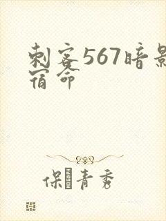 刺客567暗影宿命