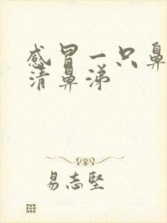 感冒一只鼻孔流清鼻涕