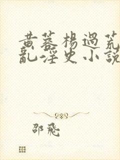 黄蓉杨过荒岛之乱淫史小说