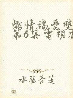 燃情竭爱双男主第6集电视剧在线观看