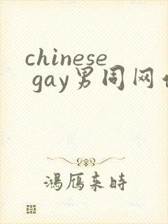 chinese gay男同网站