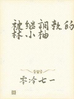 被继调教的少女林小柚封面