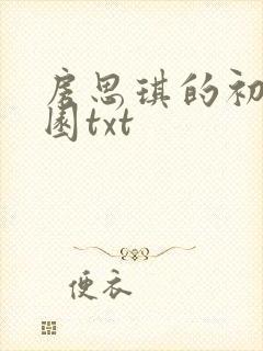 房思琪的初恋乐园txt