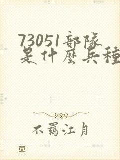 73051部队是什么兵种