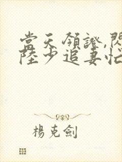 当天领证,闪婚陆少追妻忙短剧