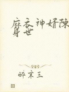 麻衣神婿陈黄皮身世