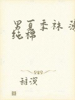 男夏季袜 薄款纯棉