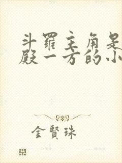 斗罗主角是武魂殿一方的小说封面