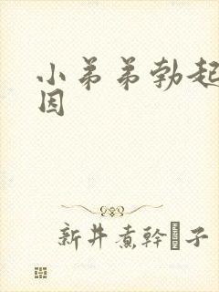 小弟弟勃起的原因