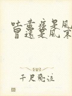 吐黄痰是风热感冒还是风寒感冒