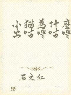 小猫为什么会发出咕噜咕噜的声音封面