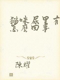 猫咪尿里有血是怎么回事