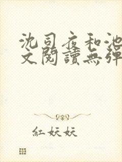 沈司夜和池茵全文阅读无弹窗笔趣阁