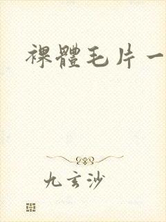 裸体毛片一区