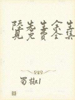 陆先生余生不再见免费全集