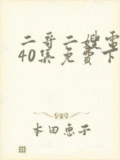 二哥二嫂电视剧40集免费下载