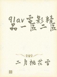 91av电影精品一区二区在线播放封面