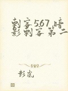 刺客567 暗影刺客第二季免费观看