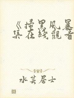 《扫黑风暴》全集在线观看