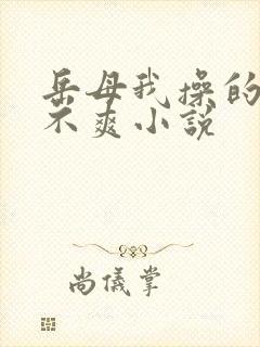 岳母我操的你爽不爽小说封面