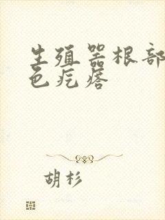 生殖器根部长肉色疙瘩