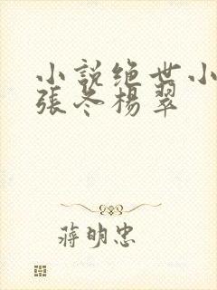 小说绝世小仙医张冬杨翠