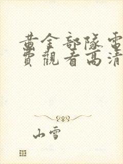 黄金部队电影免费观看高清封面