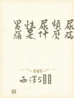 男性尿频尿血尿痛是什么病封面