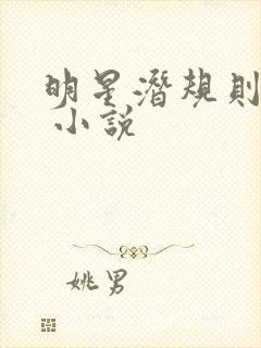 明星潜规则之皇 小说