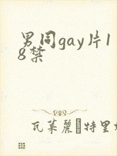 男同gay片18禁