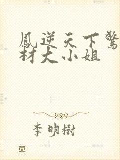 凤逆天下惊世废材大小姐