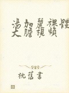 汤加丽裸体艺术大胆视频