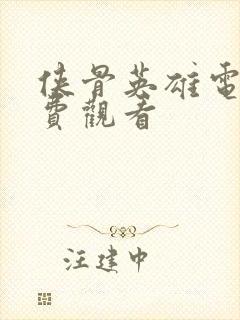 侠骨英雄电影免费观看