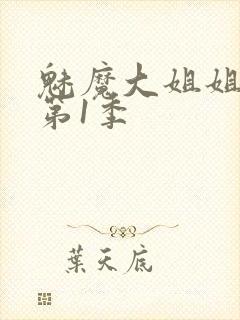 魅魔大姐姐动漫第1季封面