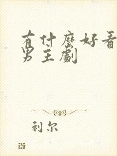 有什么好看的双男主剧