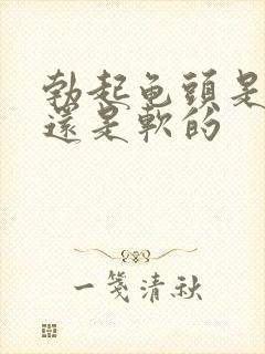 勃起龟头是硬的还是软的