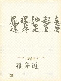 屁眼肿起来一块还疼是怎么回事