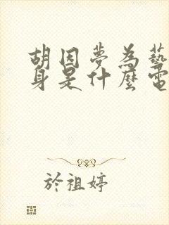 胡因梦为艺术献身是什么电影封面