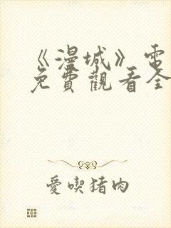 《漫城》电视剧免费观看全集高清