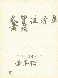 感冒流清鼻涕有黄痰