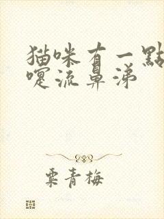 猫咪有一点打喷嚏流鼻涕封面