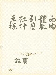 单杠引体向上是练什么肌肉的