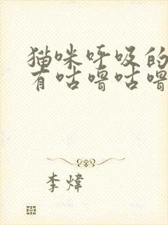 猫咪呼吸的时候有咕噜咕噜的声音