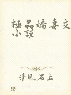 极品娇妻交换记小说