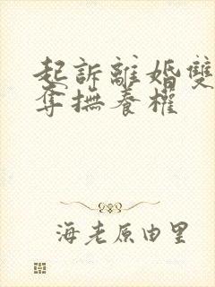 起诉离婚双方争夺抚养权