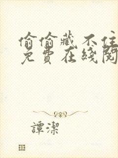 偷偷藏不住小说免费在线阅读