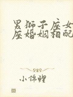 男狮子座女处女座婚姻相配吗封面