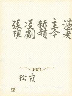 张凌赫主演的电视剧赵今麦