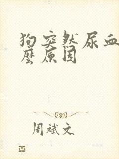 狗突然尿血是什么原因