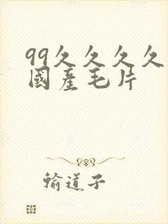 99久久久久久国产毛片封面